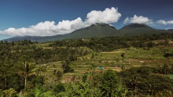 Рисовые поля Джатилуви на Бали. Индонезия. Cloud moving Timelapse hyperlapse 4k — стоковое видео
