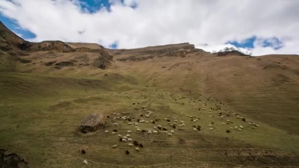 Pastos de ovejas montañas caucásicas. nubes moviéndose hiperlapso de Timelapse — Vídeos de Stock