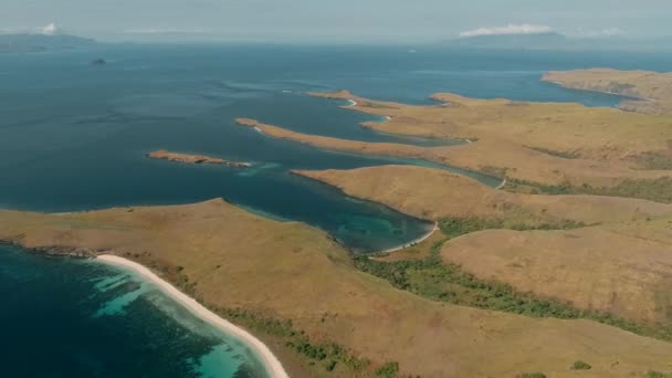 Dzikie wyspy Indonezji.Flores tropikalny raj. Labuan Baggio. antena drona — Wideo stockowe