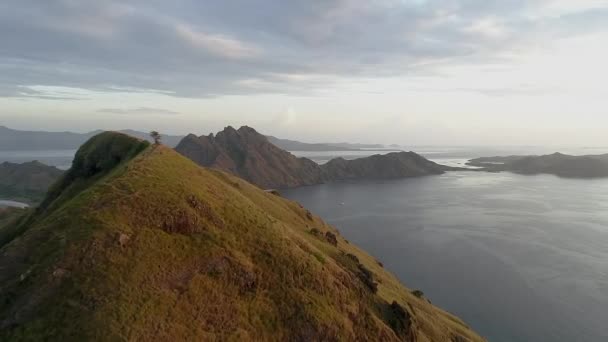 Padar eiland.roze strand.Flores tropisch paradijs. Labuan Bajo. drone antenne — Stockvideo