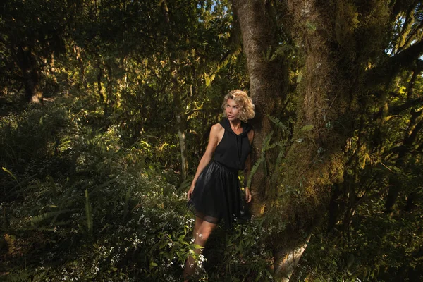  Siyah elbiseli güzel sarışın ormanda bir ağacın yanında duruyor.