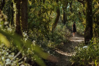 Siyah elbiseli sarışın genç kadınlar gizemli bir ormanda yürürler.