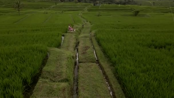 Jatiluwih zelené rýžové terasy Bali letecký pohled z dronu. — Stock video