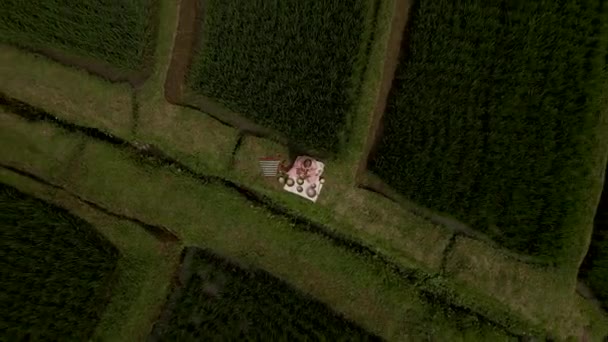 Femme en kimono rose jouant au bol chantant sur les terrasses de riz de Jatiluwih Bali, drone — Video