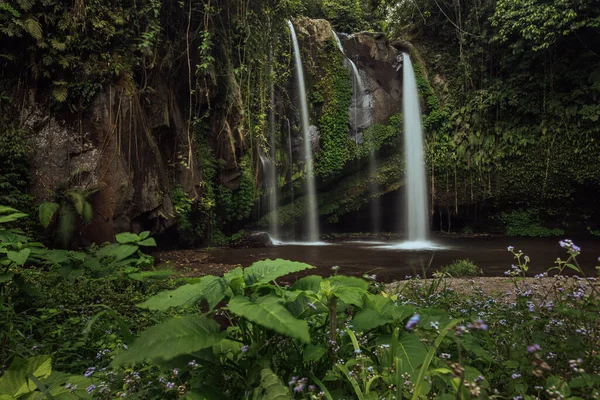 High waterfall in in tropical jungle. Purple flowers. Bali Indonesia