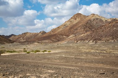 Umman Valiliği 'nde, bulutlu gökyüzünün altında, çok renkli tepelerin önündeki çalılarla kurak çorak bir arazi.