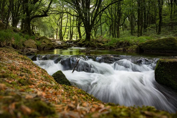 Golitha Falls cascades of River Fowey in Cornwall, UK — Stock Photo, Image