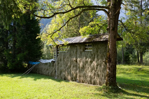 Suszarnia siana w Alpach Julijskich koło Kranjskiej Góry, Słowenia — Zdjęcie stockowe