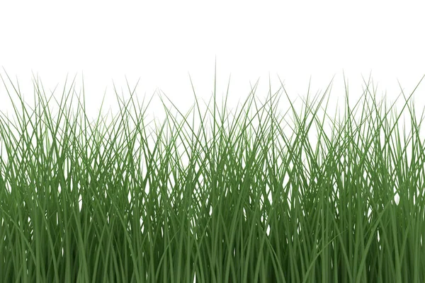Grass on white background. 3d rendering — Stock Photo, Image