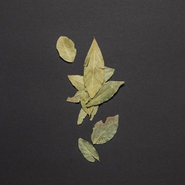 Karanlık arka planda kurutulmuş baharatlar, metnin için boşluk ya da restoran ya da kafe menüsü için tasarım elementleri, lezzetli yemek tarifleri için malzemeler.