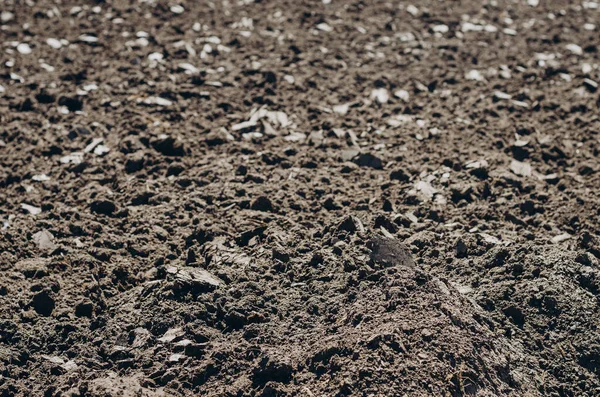 Terreno Terra Coltivata Terra Fondo Terra Marrone Giardinaggio Biologico Agricoltura — Foto Stock