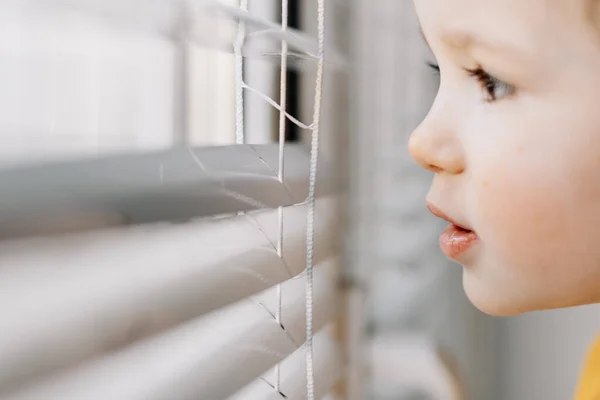 Κατσαρομάλλικο Μωρό Κοιτάει Έξω Από Παράθυρο Έντονο Φως Αντιγραφή Χώρου — Φωτογραφία Αρχείου