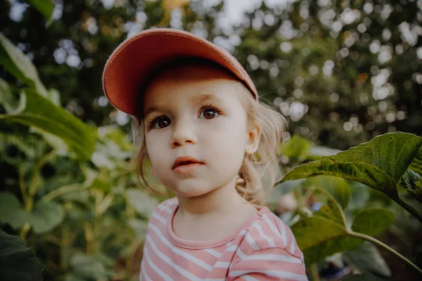 Bambina Abiti Rosa Gioca Giardino Con Piante — Foto Stock