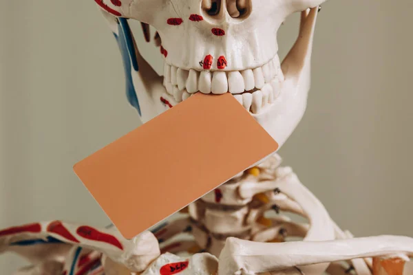 Bones Skull Medical Skeleton Place Advertising — Stock Photo, Image