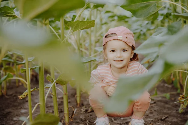 Pembe Elbiseli Küçük Kız Bahçede Bitkilerle Oynuyor — Stok fotoğraf