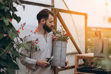 Çiçekçinin çiçek yetiştirdiği bir çiçek çiftliğindeki çalışmalarının fotoğrafı. Çiçekçi çiftliğinin sahibi çiçekleri satılığa çıkarmış.