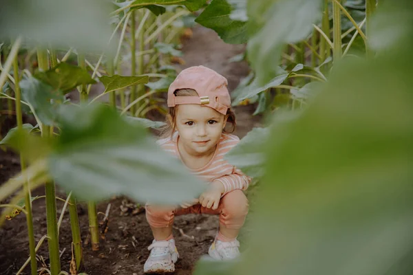 Pembe Elbiseli Küçük Kız Bahçede Bitkilerle Oynuyor — Stok fotoğraf