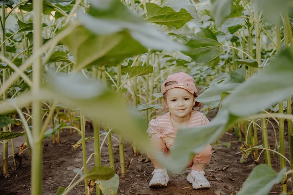 ピンクの服を着た女の子が植物と庭で遊ぶ — ストック写真