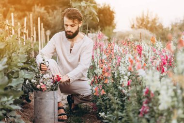 Şık bir çiçekçinin portresi. Organik bahçede tohum eken çiftçi. Mutlu adam. Bahçe yataklarındaki insanlar. Bahar bahçesi konsepti. Bahçıvanın elleri bahçeye çiçek diker..