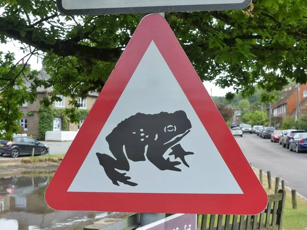 Beware Frogs Toads Crossing Road Sign — Stock Photo, Image