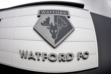 Watford Futbol Kulübü 'nün konukseverlik girişinin duvarındaki balık bakışı manzarası.