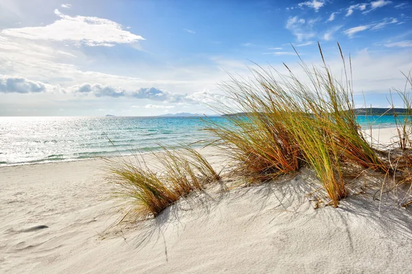 意大利撒丁岛西南部的波尔图皮诺海滩 位于撒丁岛南部帕尔马斯湾的著名的白色海滩和蓝色海 — 图库照片