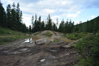 Dağ Yazı Altai yolları
