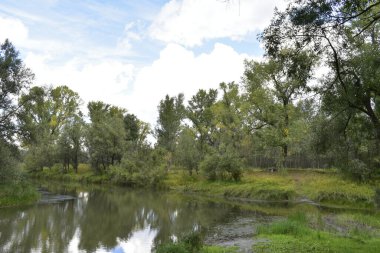 Yazın nehir kanalları ağı