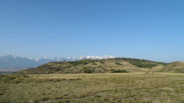 Altai Dağı Nın Manzarası — Stok fotoğraf