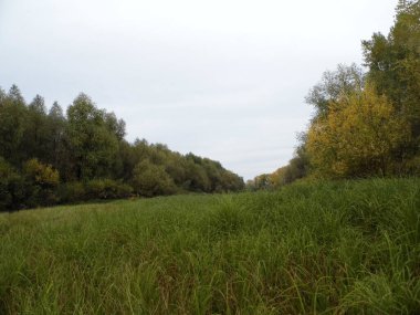 Bir sonbahar gününde nehir