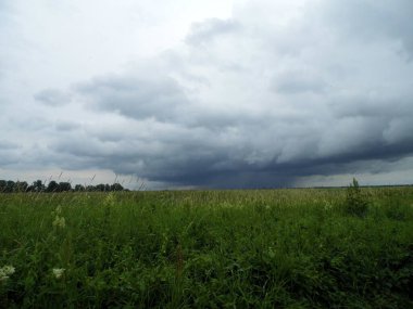 Yaz günü vadi nehri