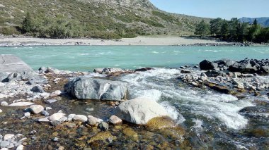 Altai. Turkuaz Katun Nehri. 