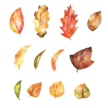 Suluboya sonbahar seti