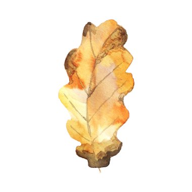 Suluboya sonbahar yaprağı