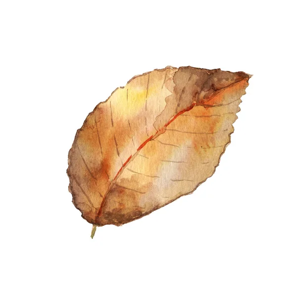 Watercolor fall leaf — Stock Photo, Image