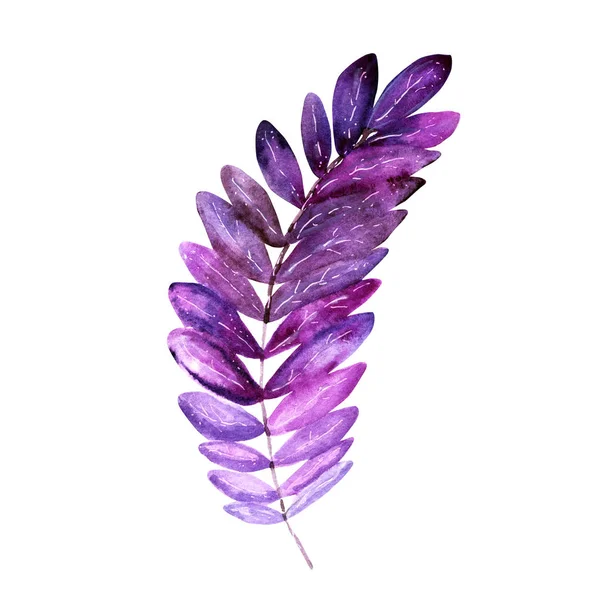 Violet tropical leaf — Stock Photo, Image