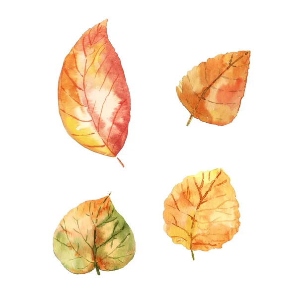 Aquarell fallende Blätter — Stockfoto
