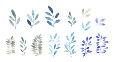 Suluboya çiçek dalları