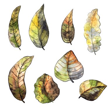 Karanlık sonbahar yaprakları seti