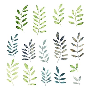 suluboya çiçek kümesi