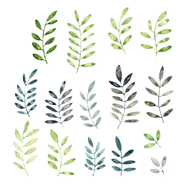 suluboya çiçek kümesi