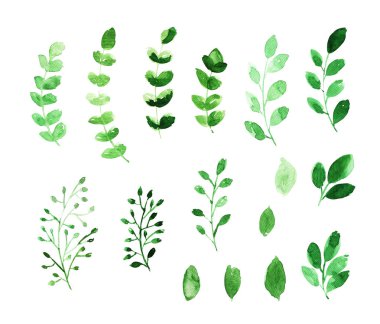 suluboya yaprak seti