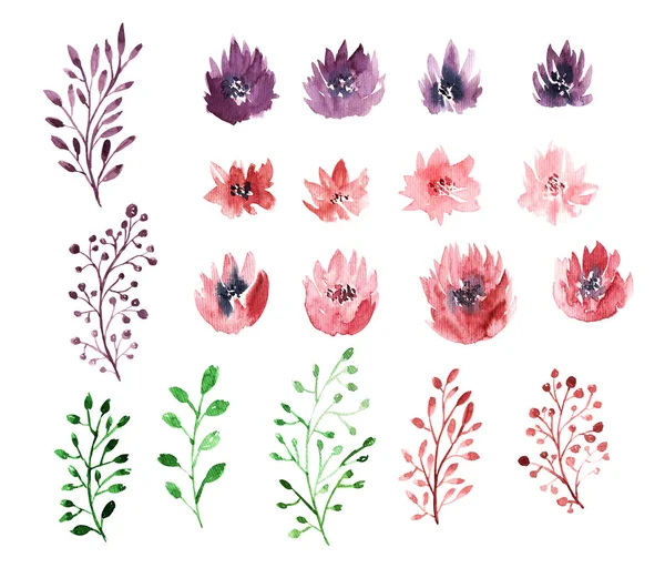 Watercolor leaf set — Stock Photo, Image