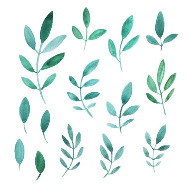 suluboya çiçek kümesi