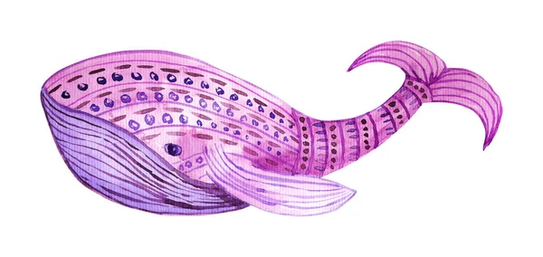 Lilac Whale Watercolor Style — Stock Photo, Image