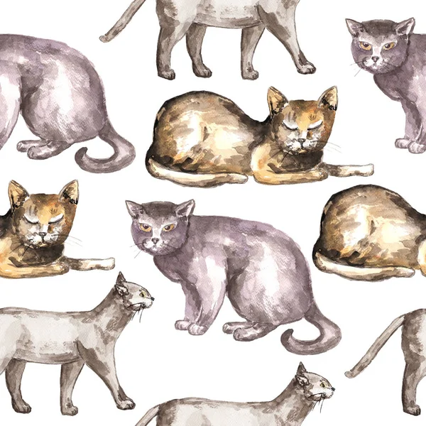 Sulu Boya kedi desen