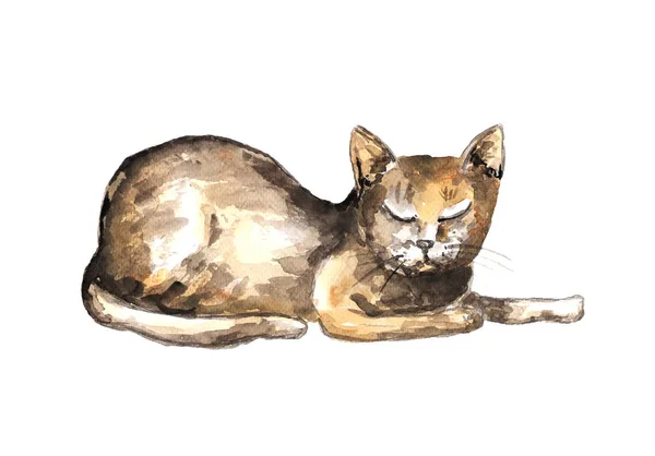 Gato deitado aquarela — Fotografia de Stock