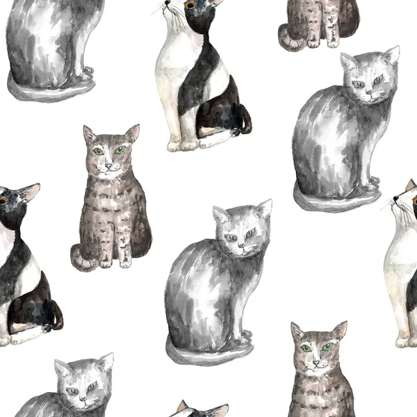 Sulu Boya kedi desen — Stok fotoğraf