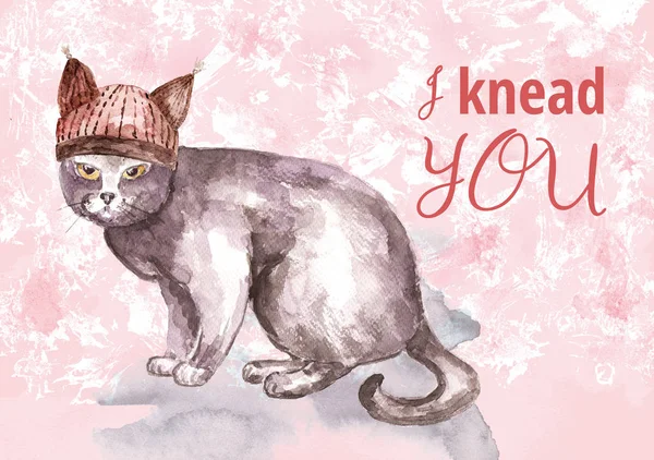Kedi severler için kart — Stok fotoğraf