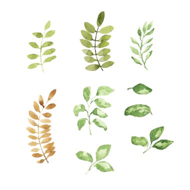 suluboya çiçek koleksiyonu